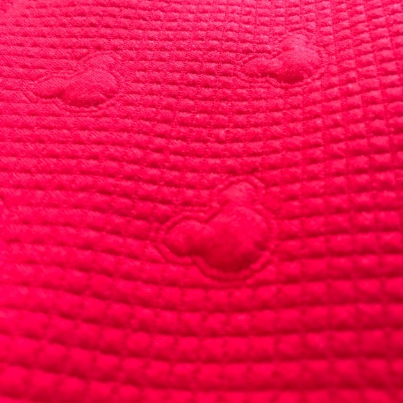 Dinsey Lauren Conrad skirt, worn maybe twice. - Picture 3 of 6